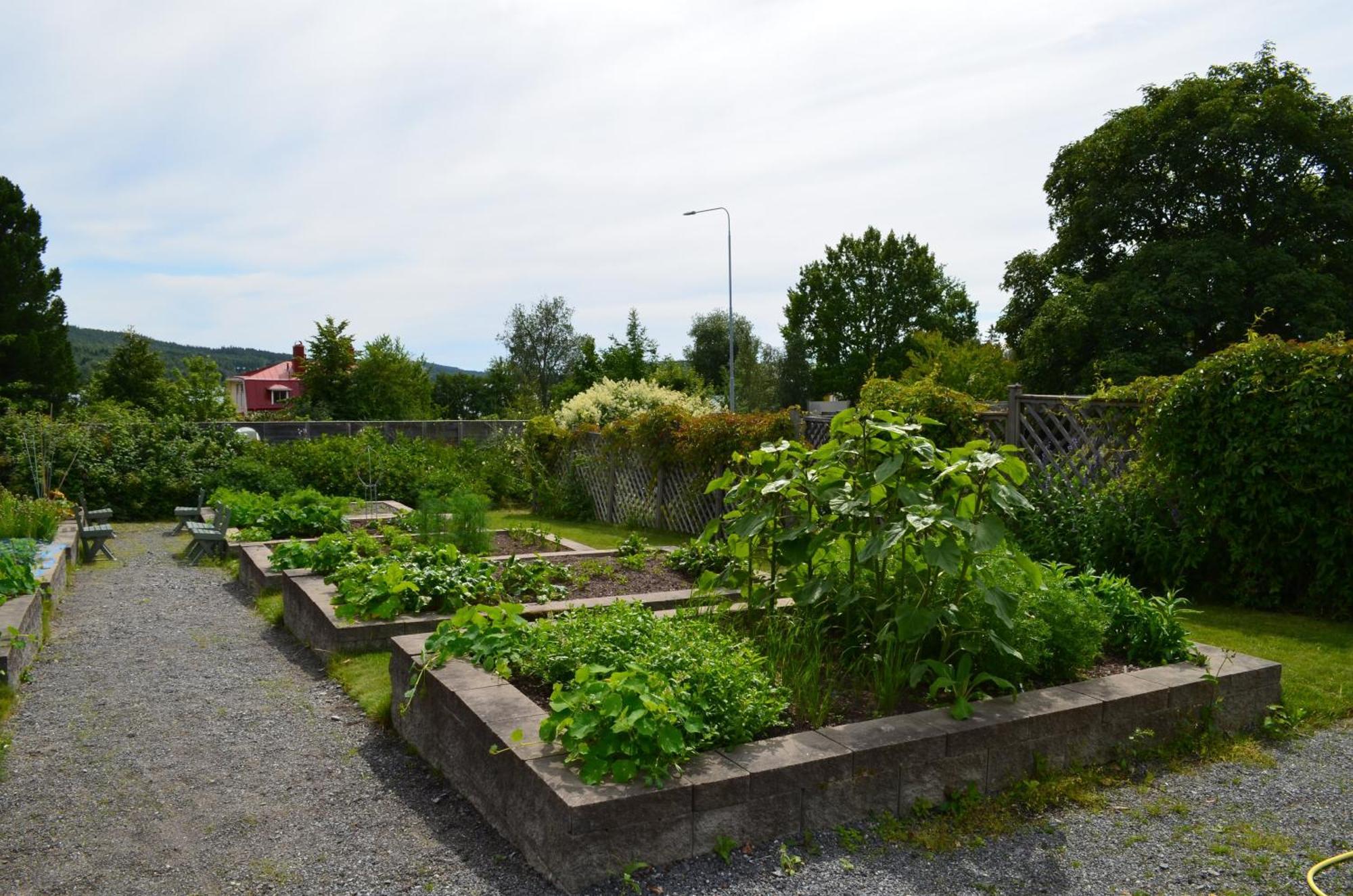 Soergardens Logi Bed and Breakfast Härnösand Eksteriør billede