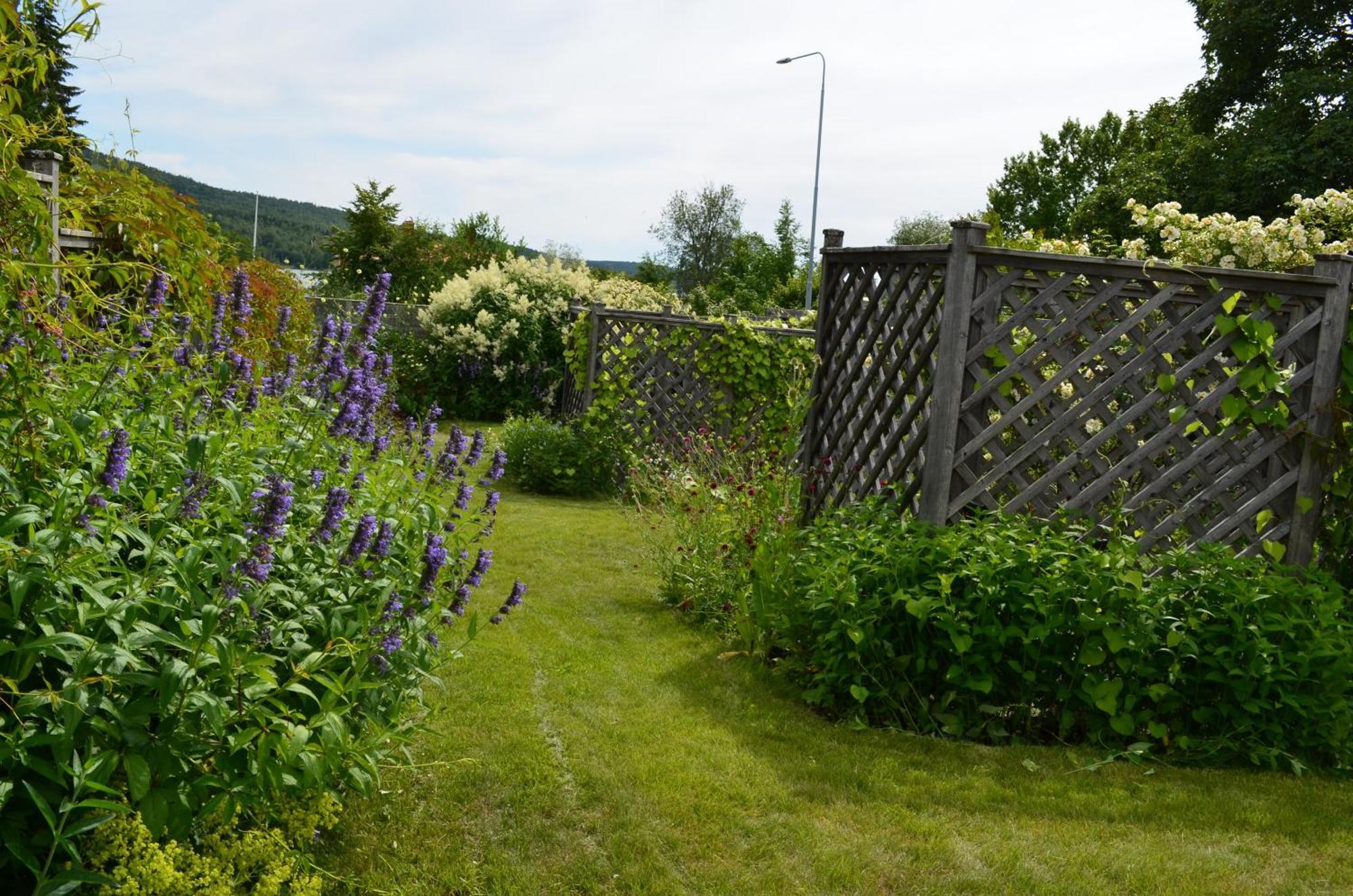 Soergardens Logi Bed and Breakfast Härnösand Eksteriør billede